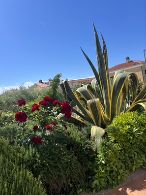 Dettaglio esterni