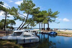 A marina with boats docked, surrounded by trees and a beach in the background.
