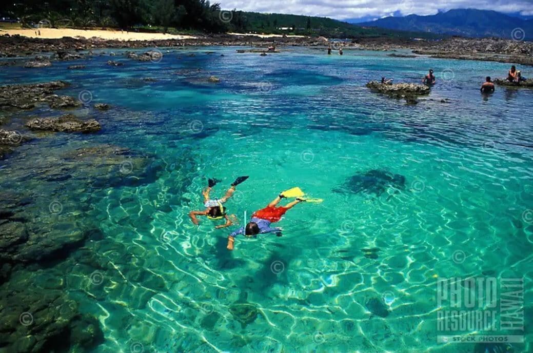 Brand New 2 Bedroom House - Photo 7