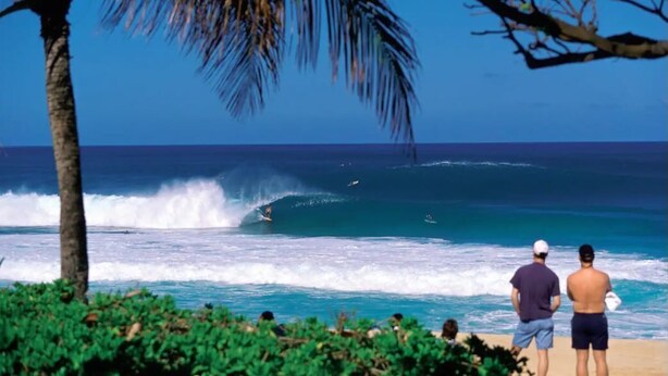 A beach with palm trees and people watching surfers.