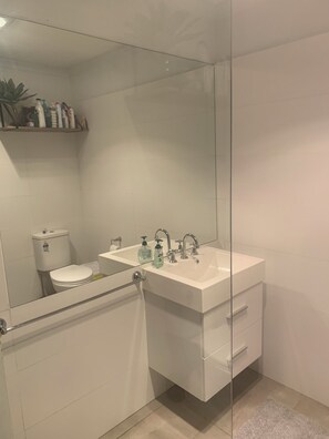 Shower, hair dryer