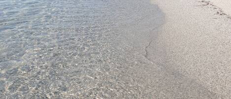 在海灘附近