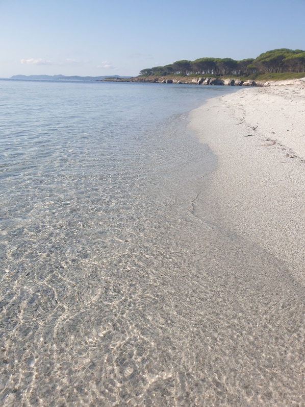 En strand med klart, lavt vand, sandet bredde og fjerne, grønne bakker.
