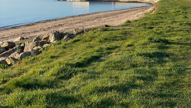 A coastal landscape with a grassy area, a sandy beach, and a stone wall extending into the water. - The Saint Vaast orchard  (Saint-Vaast-la-Hougue)
