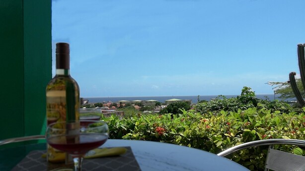 Ein Tisch mit einer Weinflasche und einem Glas, mit Blick auf die Küste, viel Grün und einer Kaktuspflanze.