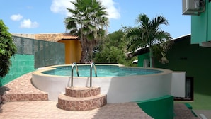 Ein Swimmingpool mit Stufen, umgeben von einem grünen Zaun und Palmen.