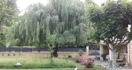 Appartement au Calme Dans un Parc Ombragé