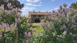 A house with a garden in front, surrounded by blooming lilac trees. - La Grange Domaine de la Blaque (Varages)