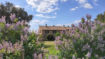 Área da propriedade