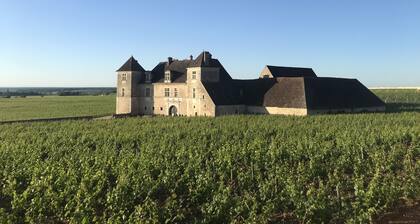 Grande Maison Familiale à Proximité de Nuits-st-georges et de la Route des Vins