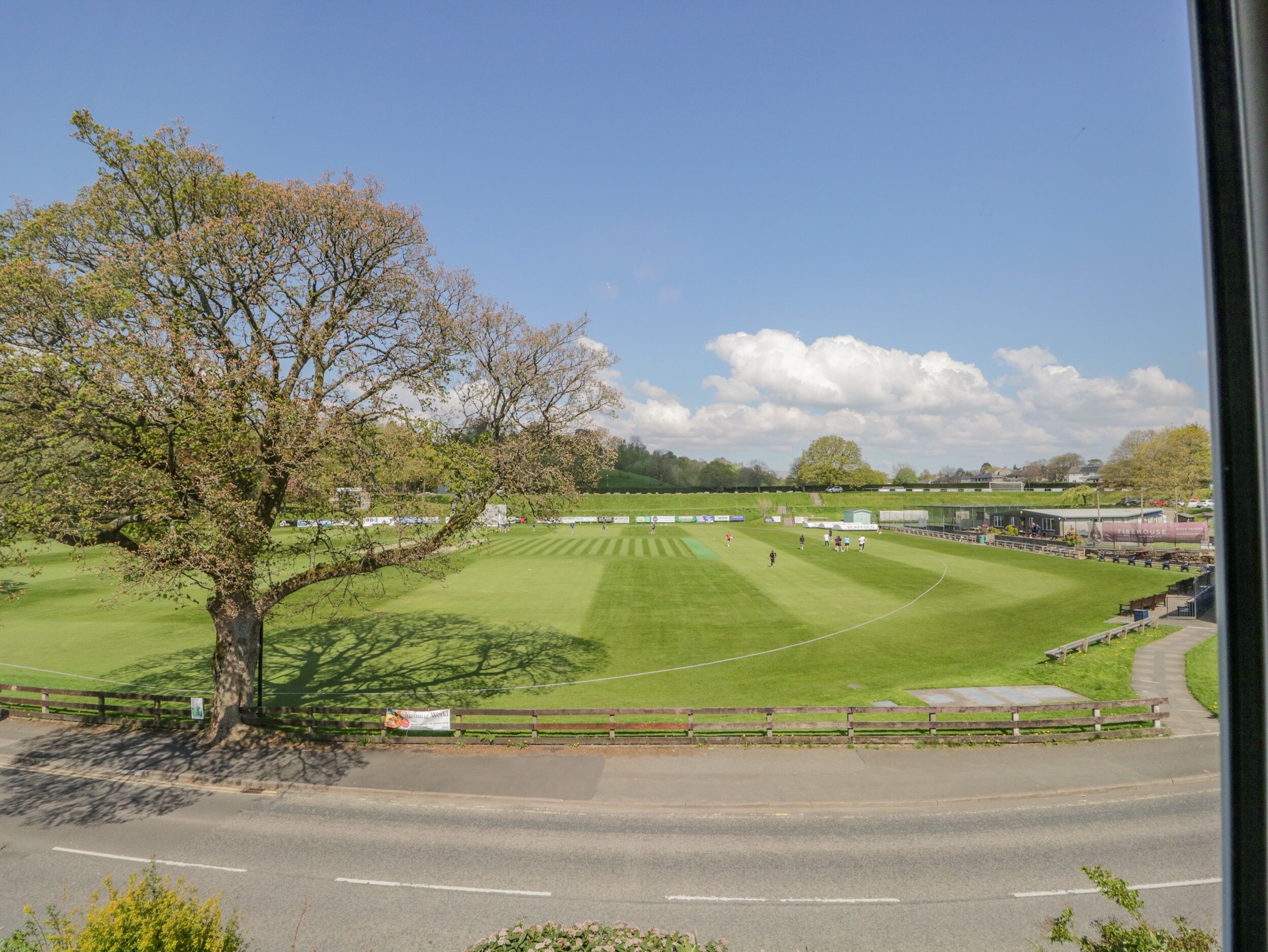 A view of a golf course with a large tree, a road in the foreground, and a clear sky.