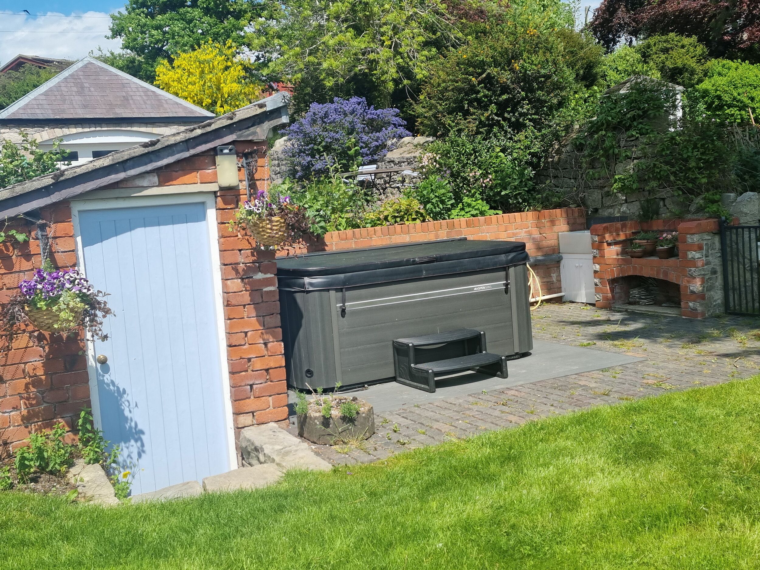A barbecue grill, a blue door, and a brick wall with greenery.