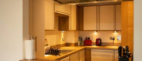 Basic Apartment, Multiple Beds | Private kitchen | Fridge, microwave, oven, stovetop