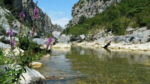 Un ruisseau aux eaux claires, aux berges rocheuses et à la végétation clairsemée.