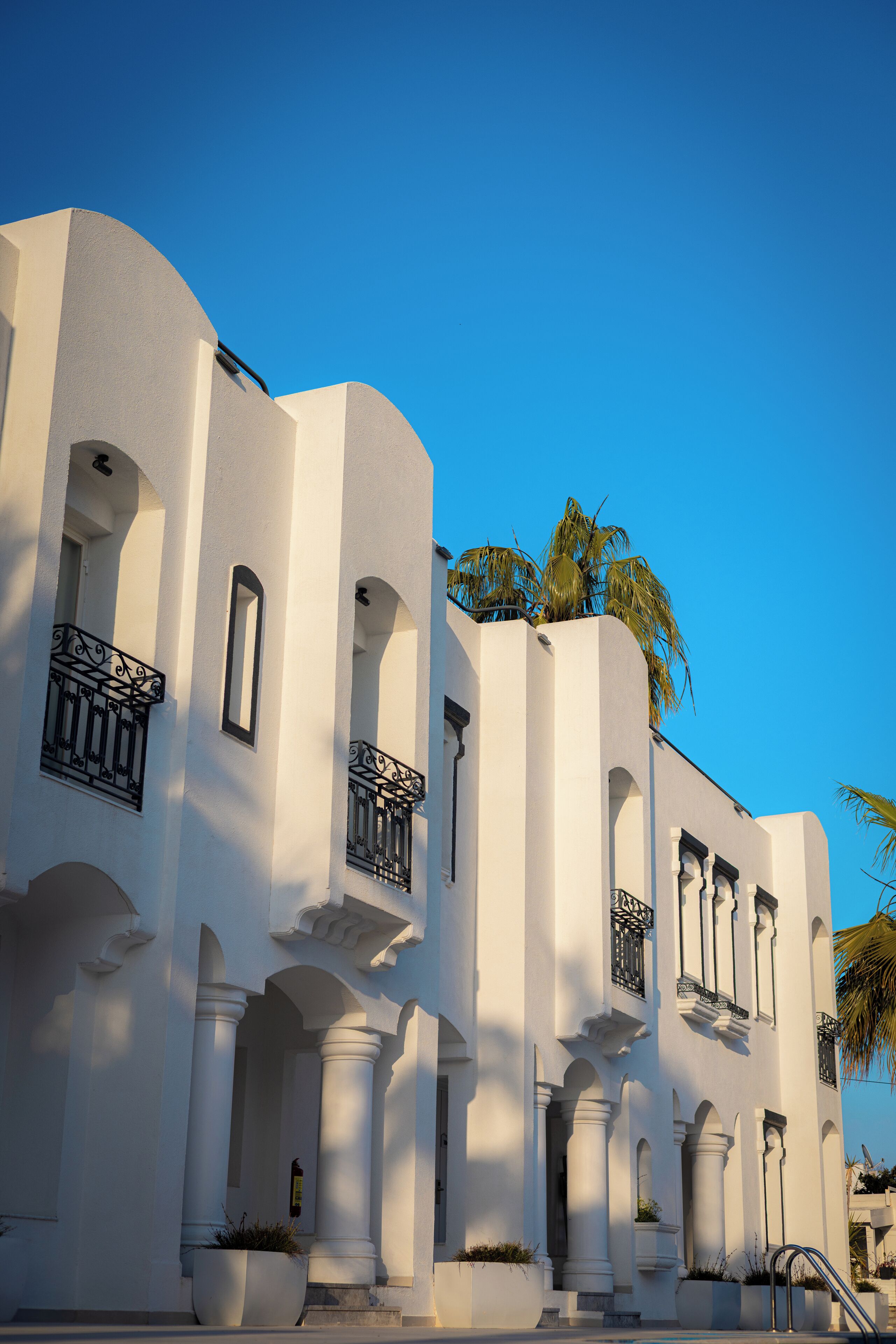 Un edificio blanco con balcones y palmeras.