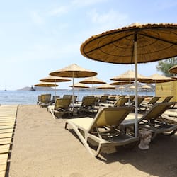 Am Strand, kostenloser Shuttle zum Strand
