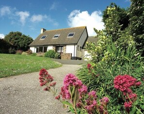 Cottage | Interior - Rosevallen (Wadebridge)