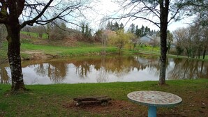 Un parque con un estanque, una mesa de picnic y árboles.