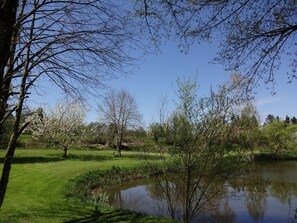 المنطقة المحيطة بالمنشأة