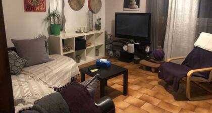 F3 calme jardin avec vue sur le village