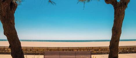 Beach nearby, sun loungers
