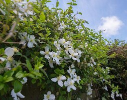 村舍 | 住宿内部