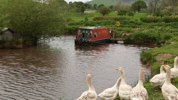 Hus, 1 queensize-seng | Eksteriør