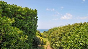 Un sentier bordé de haies verdoyantes et touffues qui mène à un point de vue sur la côte.
