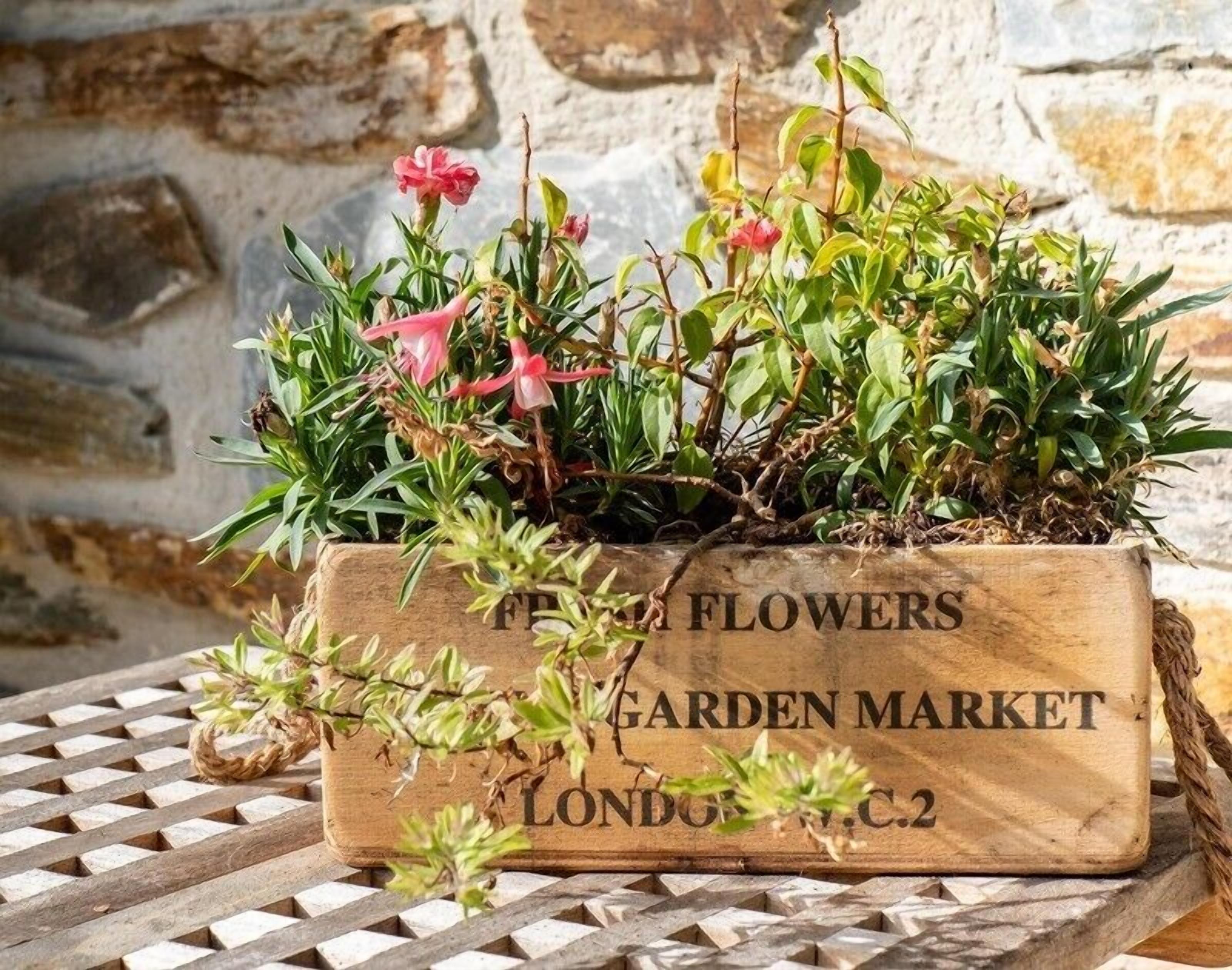 En træpotte med teksten 'FLOWERS GARDEN MARKET LONDON W.C.2', der indeholder forskellige grønne planter og lyserøde blomster.