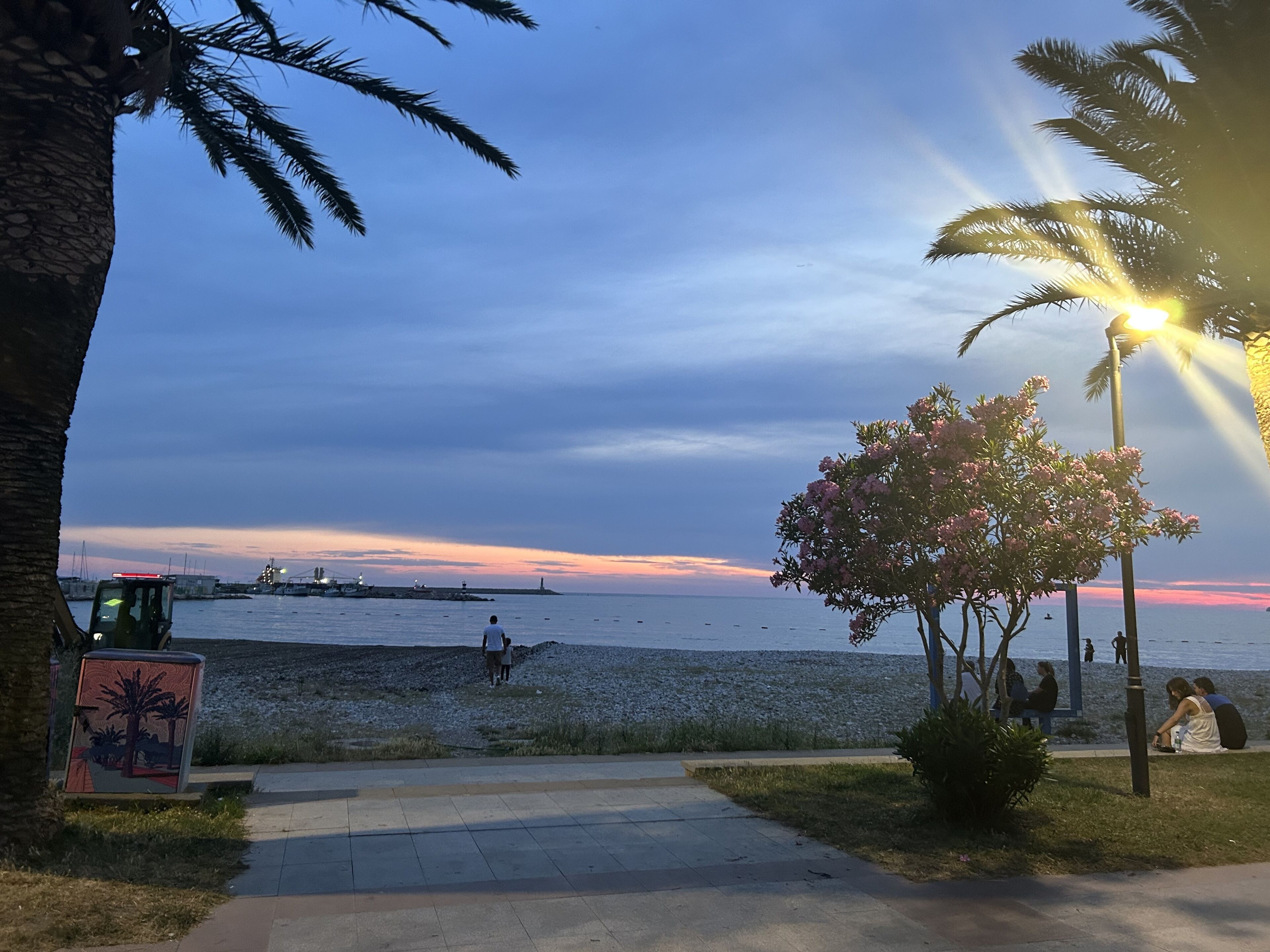 A coastal walkway with a palm tree, a lamp post, and a view of the sea with boats.