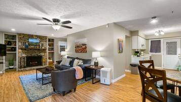 Smart TV, fireplace, DVD player, books