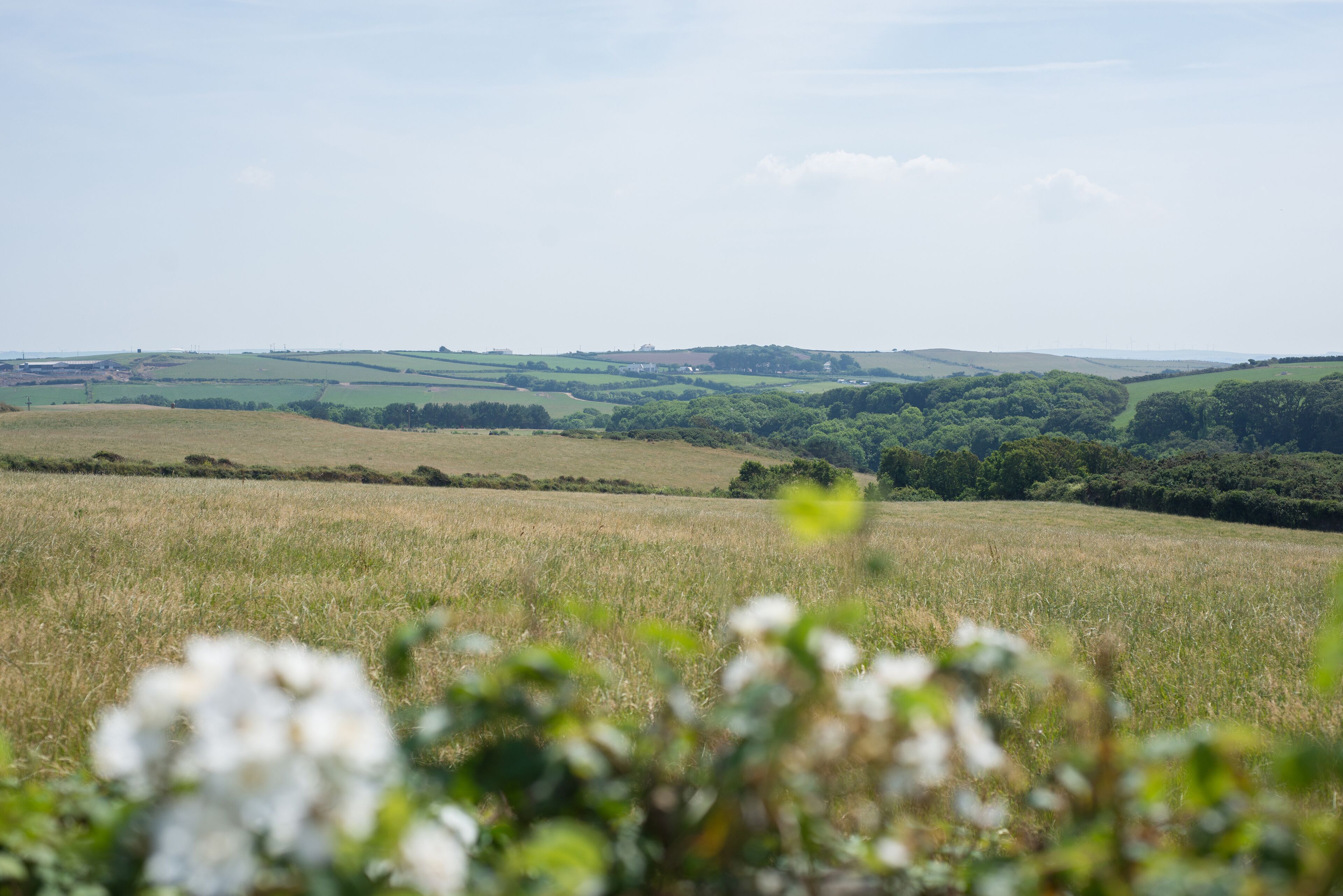 A rural landscape with rolling hills and fields.