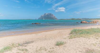 Il Vecchio Faro A30 150m From The Beach