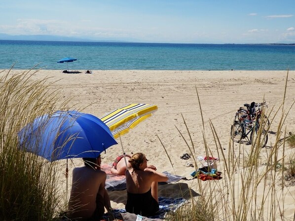 Plage, chaises longues