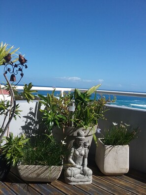 Property grounds - Charming F2, 110m2 with terrace 35m2 exceptional view of the marina (Saint-Paul)