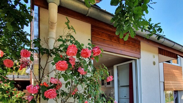 A house with a wooden deck and a rose bush in front. - On your terrace at the foot of an oak tree, feel the Alsace's vibes ! (Barr)