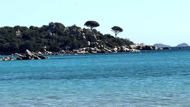 Uma praia com águas cristalinas, costa rochosa e árvores numa colina.