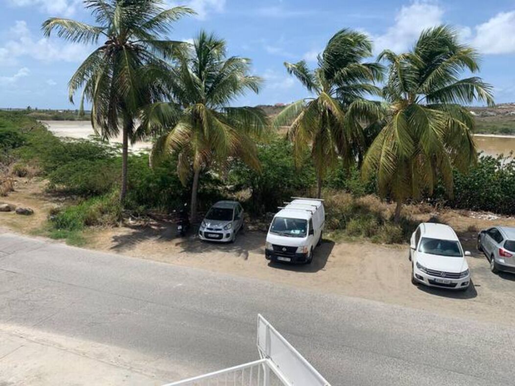 Un'area di parcheggio con diversi veicoli bianchi, palme e una strada sullo sfondo.