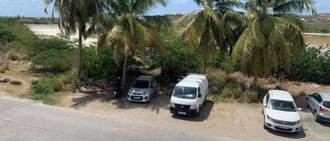Un'area di parcheggio con diversi veicoli bianchi, palme e una strada sullo sfondo.