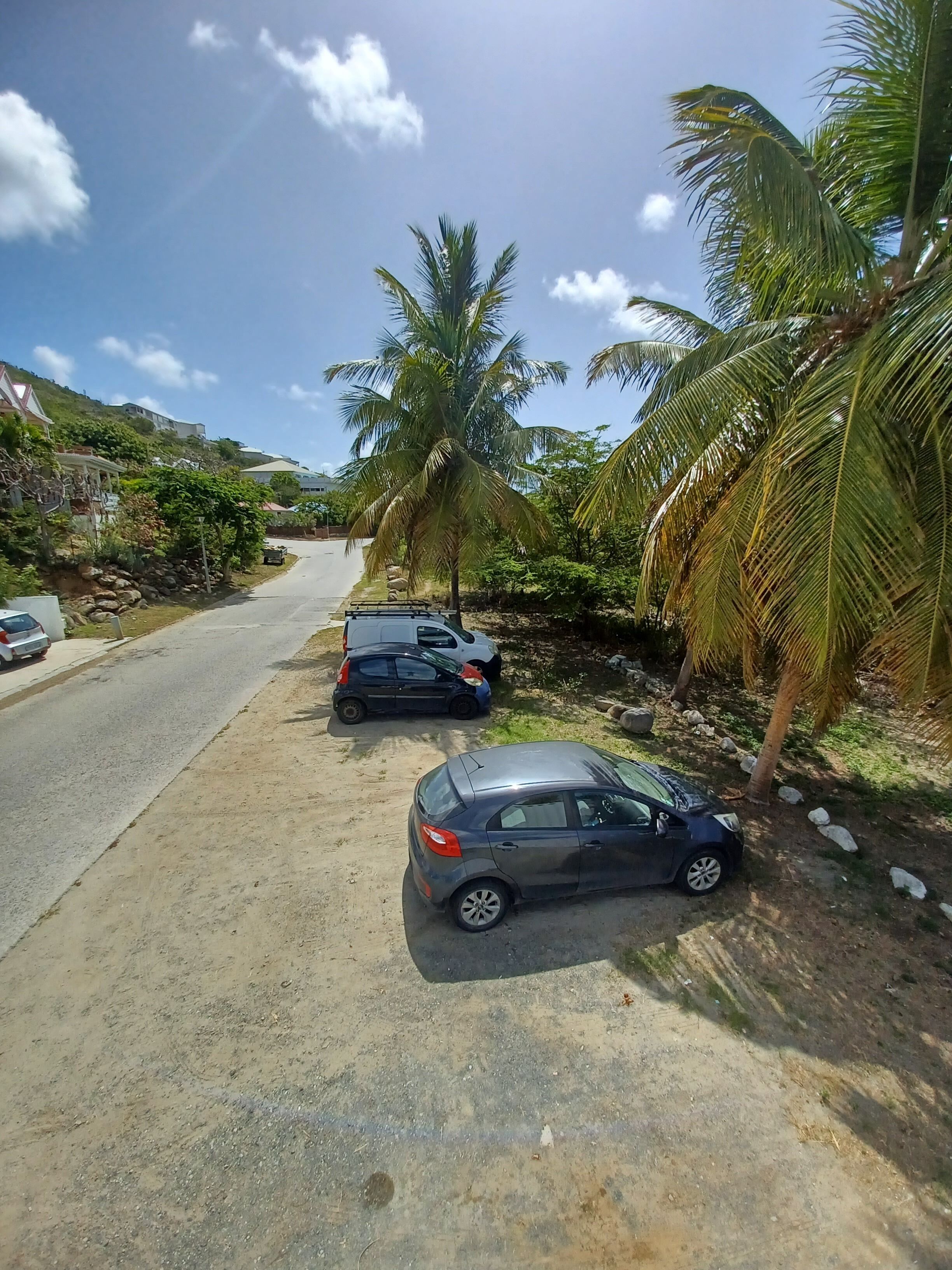 A road lined with parked cars and palm trees.