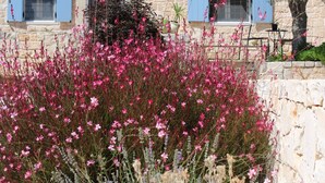 A stone building with a conical roof, two windows with blue shutters, and a garden with pink flowers. - Stylishly restored trullo with private pool and stunning views (Martina Franca)