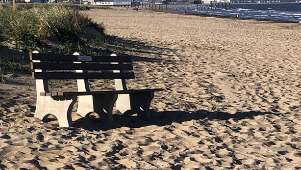 Een strand met een houten bankje, zandduinen en gebouwen op de achtergrond.