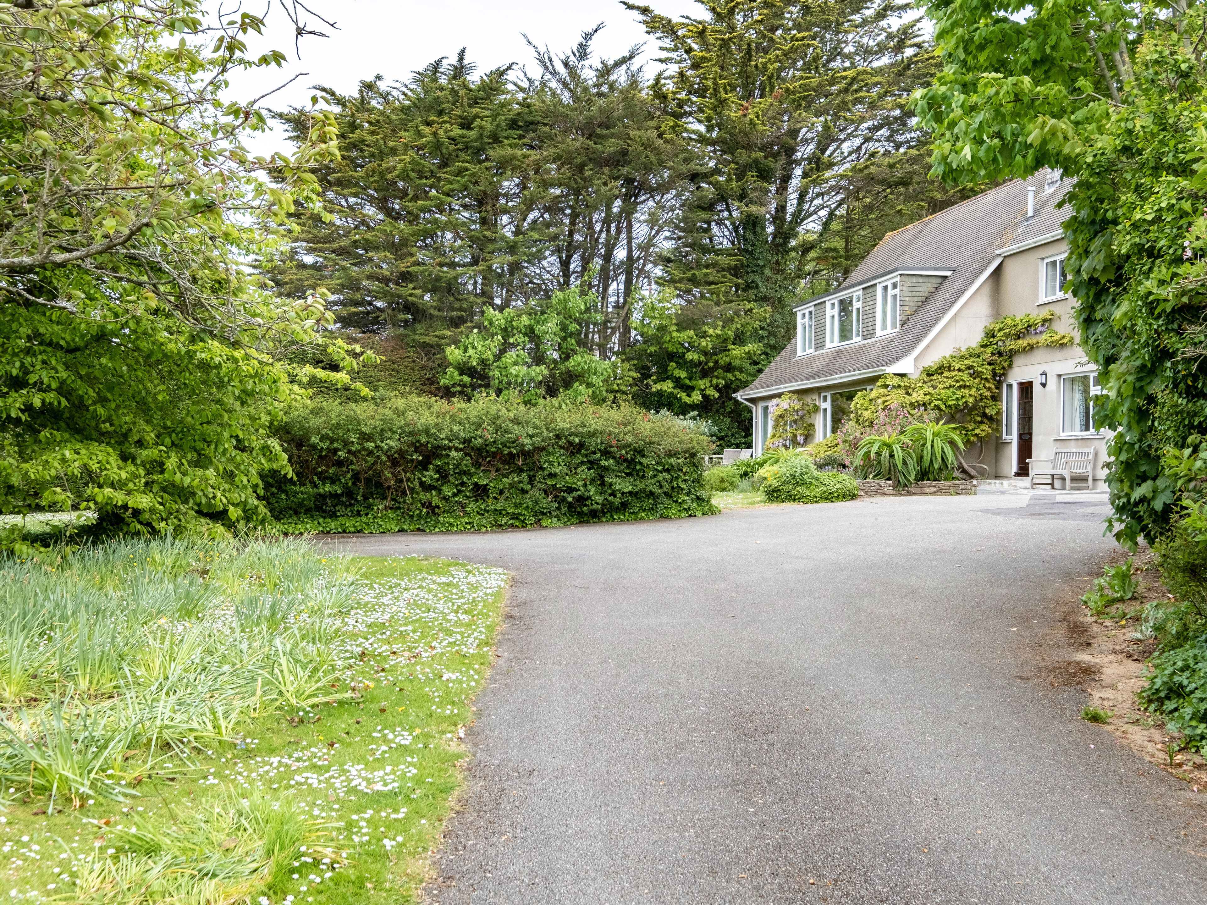 Une maison avec une allée menant à la porte d’entrée, entourée d’une végétation luxuriante et d’arbres.