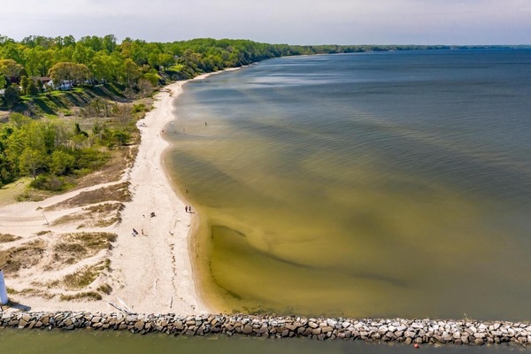 A view of Calvert - Long Beach