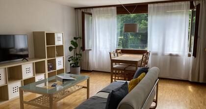 Helle grosse 1 Zimmerwohnung mit Balkon