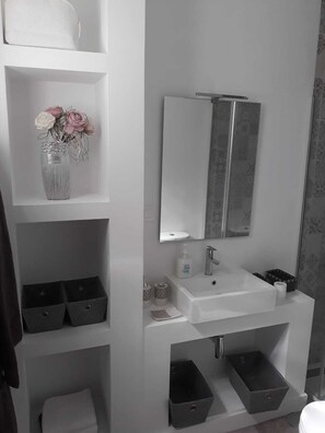 Shower, towels, toilet paper