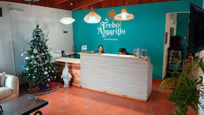 Un área de recepción con un árbol de Navidad, un mostrador de madera y una pared color verde azulado con el nombre "Trebol Amarillo bed and breakfast".