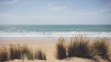 A beach with sand dunes and grass in the foreground, leading to the ocean.