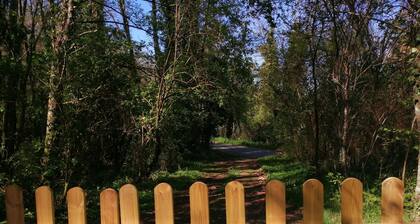 Fully equipped tiny home sleeps 3