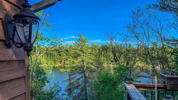 A wooden deck overlooking a lake with dense trees and a clear sky. - Gorgeous 3 bed rooms waterfront cottage on Kennebec Lake (Arden)
